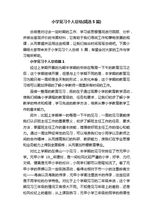 小学见习个人总结（精选5篇）