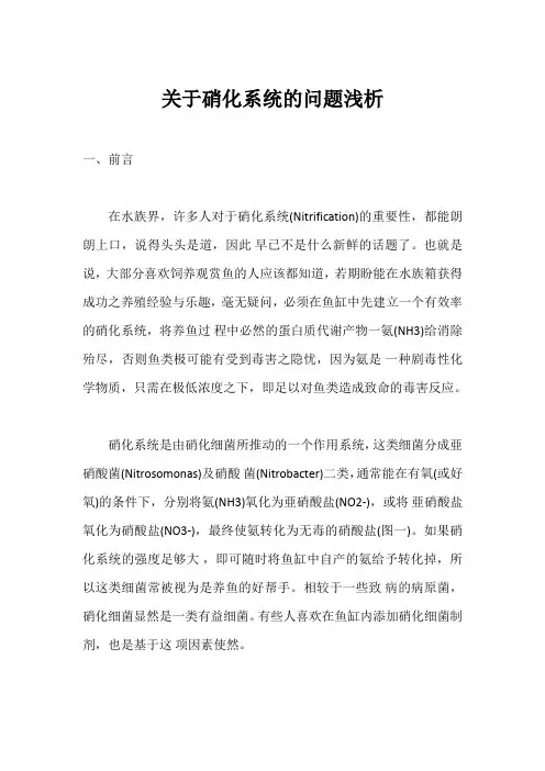 关于硝化系统的问题浅析