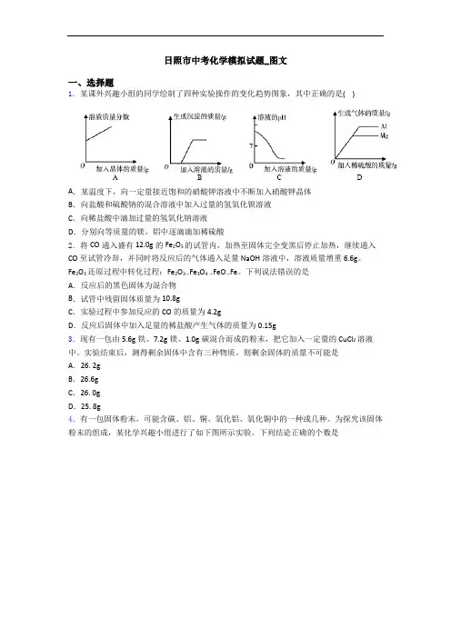 日照市中考化学模拟试题_图文
