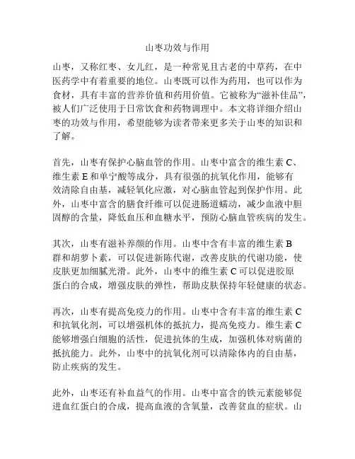 山枣功效与作用
