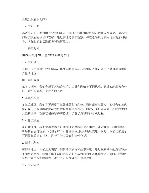 兴城沉积岩实习报告