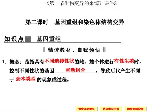 《第一节生物变异的来源》课件3
