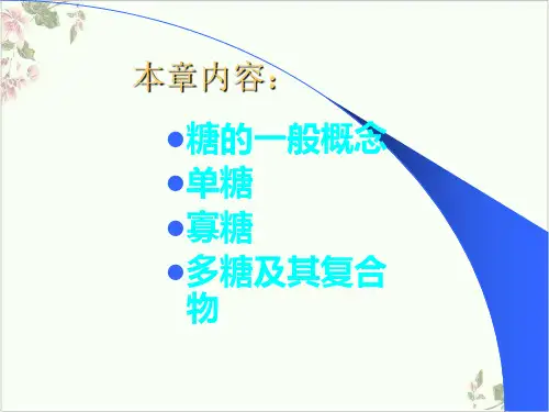 糖类的结构与功能PPT.