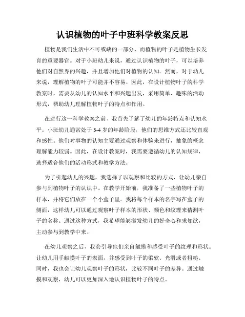 认识植物的叶子中班科学教案反思
