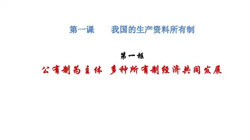 高中思想政治必修第2册 1.1 公有制为主体多种所有制经注共同发展