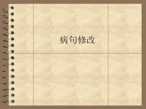 高中语文之病句修改PPT课件