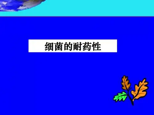 细菌的耐药性
