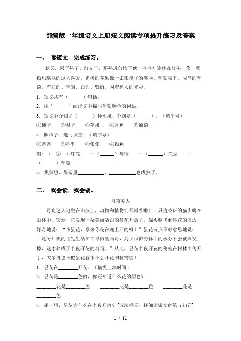 部编版一年级语文上册短文阅读专项提升练习及答案