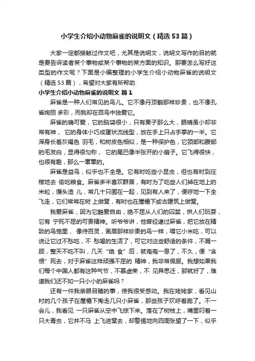 小学生介绍小动物麻雀的说明文（精选53篇）