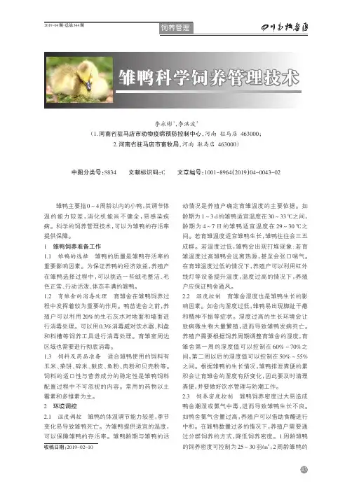 雏鸭科学饲养管理技术