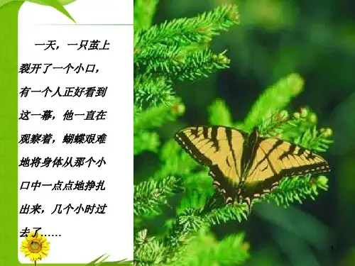 小学生主题班会课件——挫折(共62张PPT)