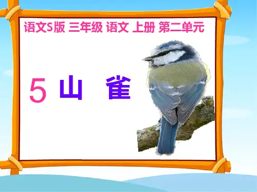 山雀课件