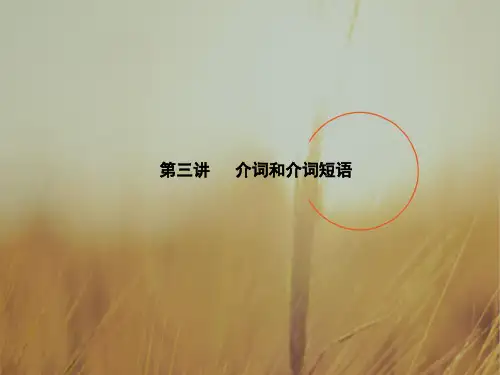 2018版高考英语一轮复习课件：语法：第三讲 介词和介词短语 精品
