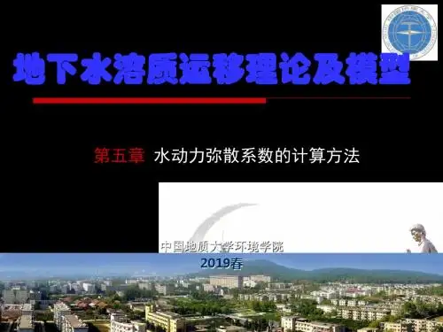 溶质运移理论-水动力弥散系数的计算方法 46页PPT文档