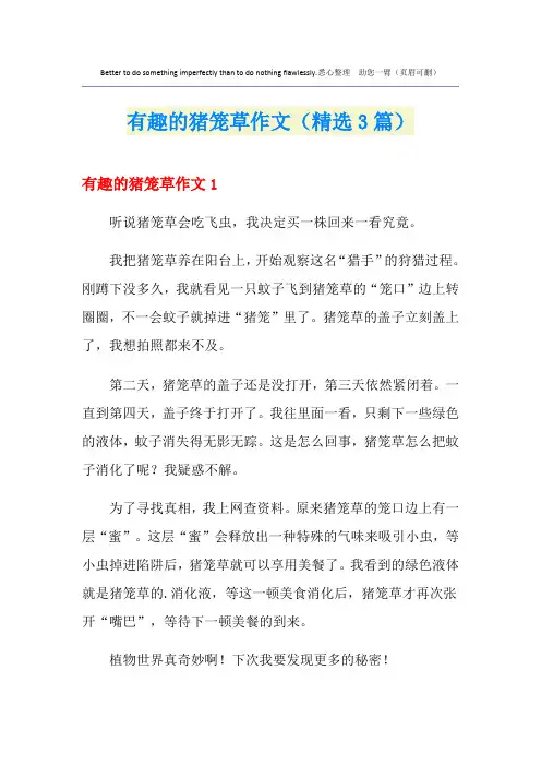 有趣的猪笼草作文(精选3篇)