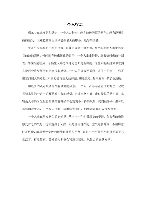 一个人行走_高中高三作文500字