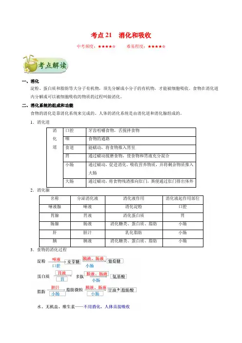 生物中考考点专题训练及答案解析21： 消化和吸收1