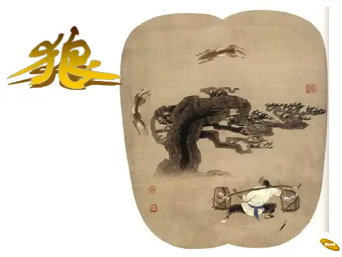 《狼》1课件