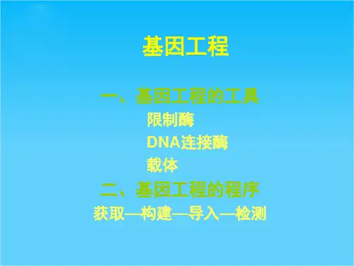 高考生物二轮复习课件：现代生物技术专题(广西省专用)