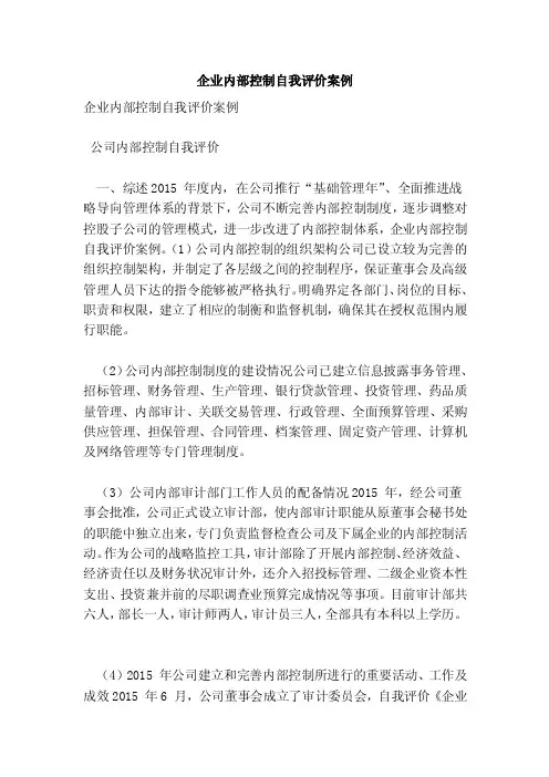 企业内部控制自我评价案例（完整版）