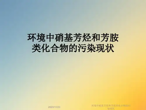 环境中硝基芳烃和芳胺类化合物的污染现状
