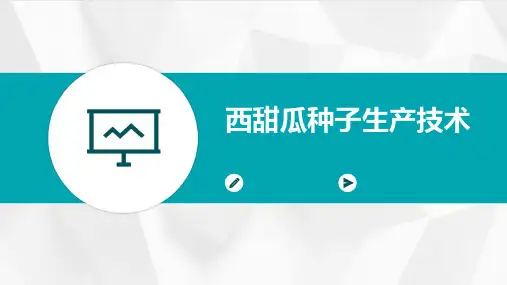 西甜瓜种子生产技术