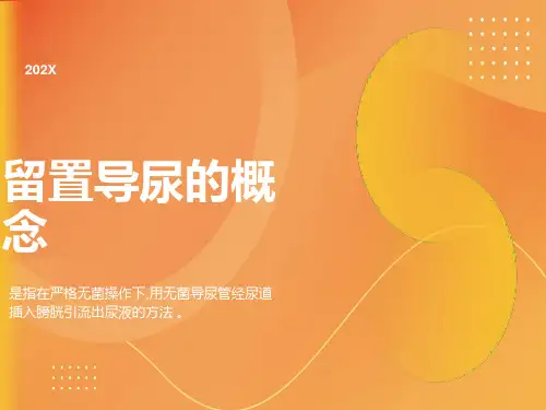 留置导尿管护理查房