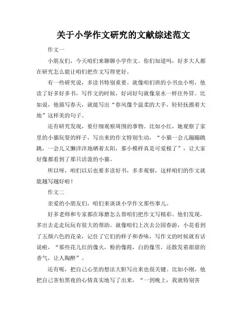 关于小学作文研究的文献综述范文