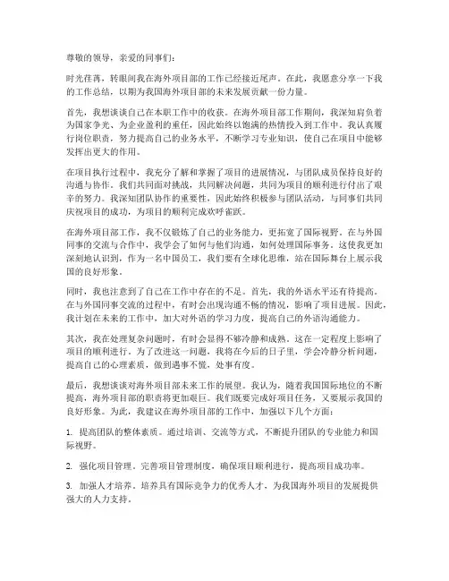 海外项目部个人工作总结