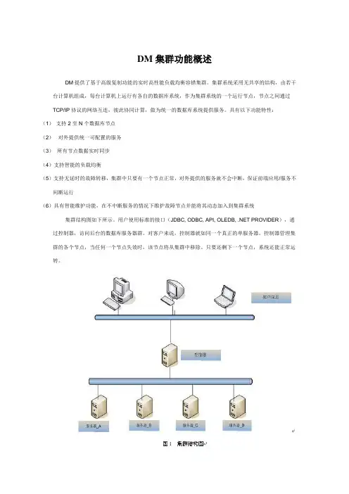 DM集群功能概述