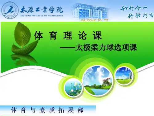 太极柔力球