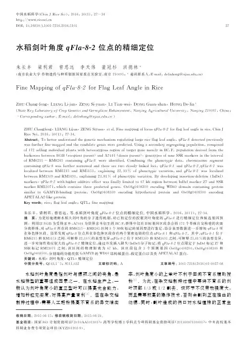 水稻剑叶角度qFla-8-2位点的精细定位