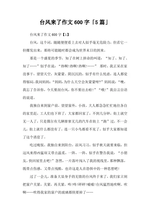 台风来了作文600字「5篇」
