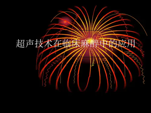 超声技术在临床麻