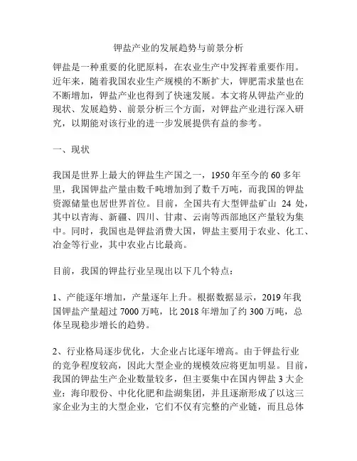 钾盐产业的发展趋势与前景分析