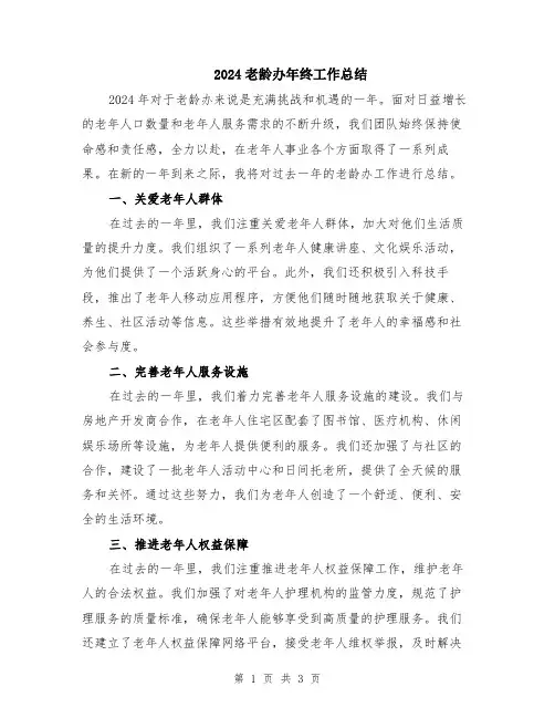 2024老龄办年终工作总结