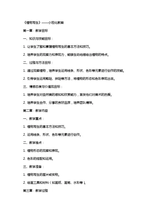 美术教学：《植物写生》——小班化教案