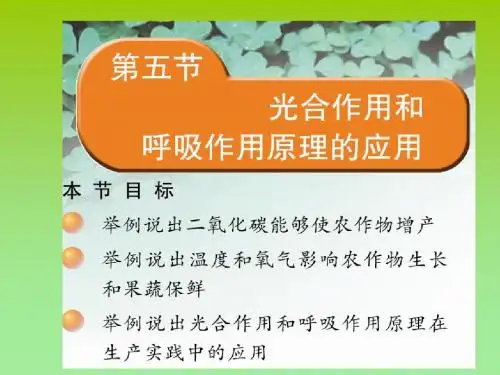 苏教版生物七年级上 第6章 第5节 光合作用和呼吸作用原理的应用