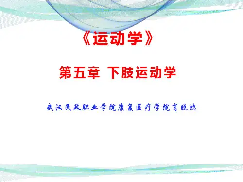 第五章 第二节 下肢运动学(膝)