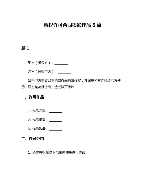版权许可合同摄影作品5篇