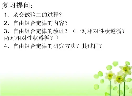 1.2《孟德尔的豌豆杂交实验(二)2