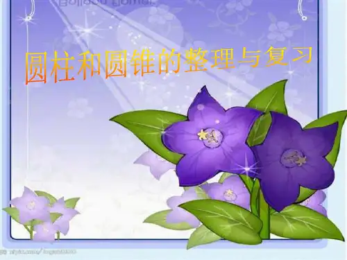 六年级数学下册课件整理与练习苏教版(共15张PPT)