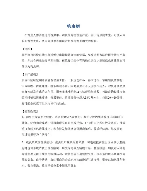 医学知识之钩虫病