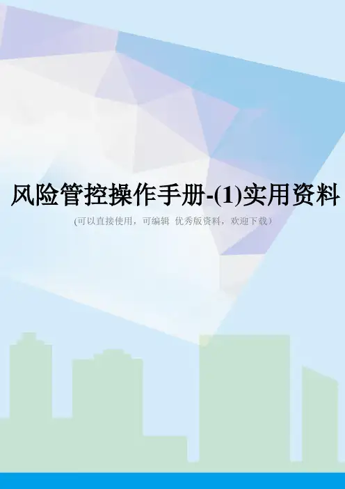 风险管控操作手册-(1)实用资料