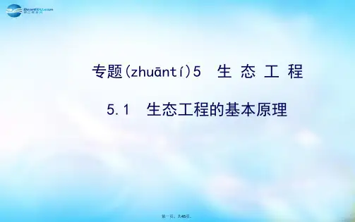 高中生物 5.1生态工程的基本原理课件 新人教版选修3 