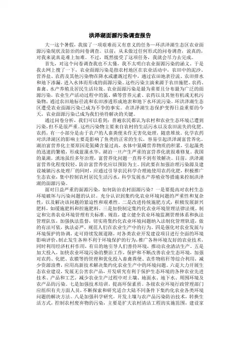 泗洪调研报告2