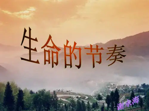 时间：生命的节奏ppt优秀课件3 人民版