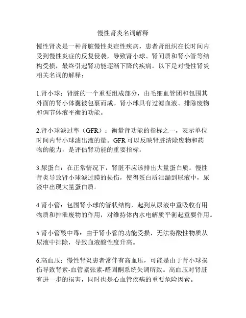 慢性肾炎名词解释