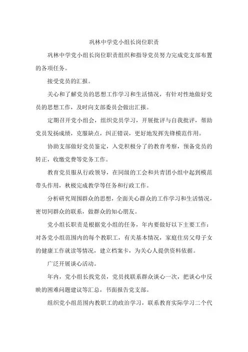 巩林中学党小组长岗位职责