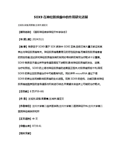 SOX9在神经胶质瘤中的作用研究进展